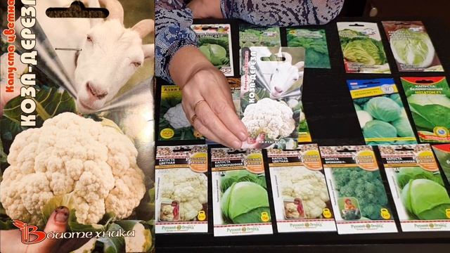 Лучшие Сорта Капусты. Супер Новинки и проверенные Сорта Капусты. Семена Седек, Семко. смотреть онлайн