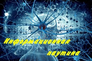 информационная паутина