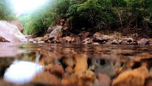 Вода интересные факты. Великая тайна воды