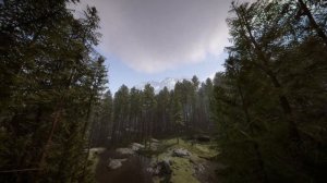 Sons Of The Forest | Game Capture | Free to Use Game Footage (2023)