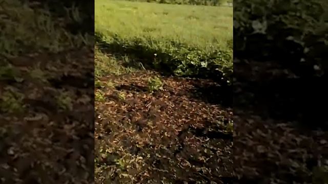 Земляной бур собственного производства смотреть онлайн