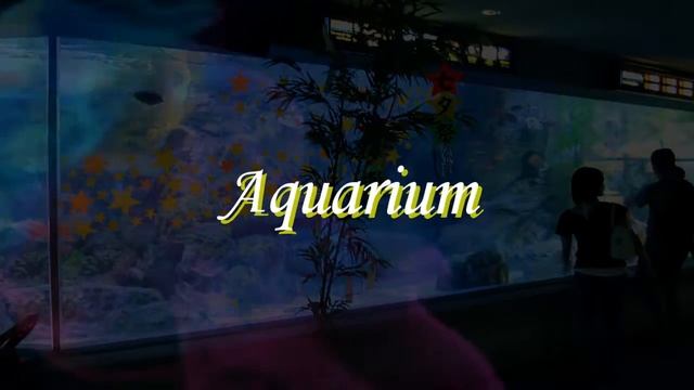 Aquarium In Dreams | interpret dreams  & Dream Meanings