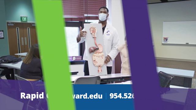 Spring Session 4 Begins March 10 смотреть онлайн