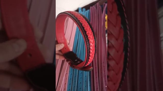 Ошейник для собак крупных пород (ШарикоФФ)