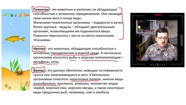 17. Жизнь в океанах (5 класс) - введение в Биологию смотреть онлайн