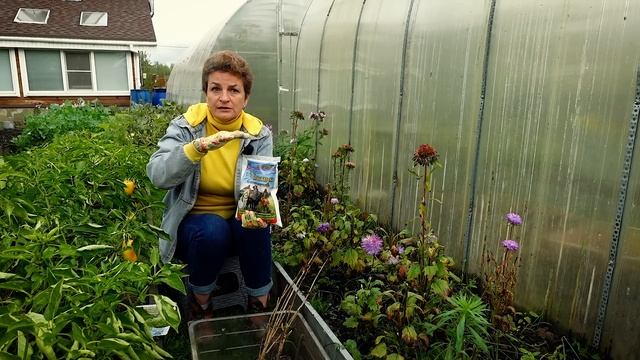 Я убедилась - БИОпрепараты работают! смотреть онлайн