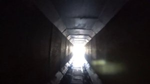 Велопокатушка по паркам Москвы