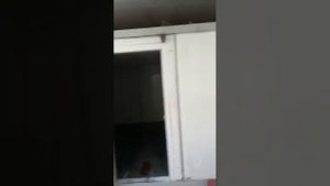 Оборудование Пельменный цех