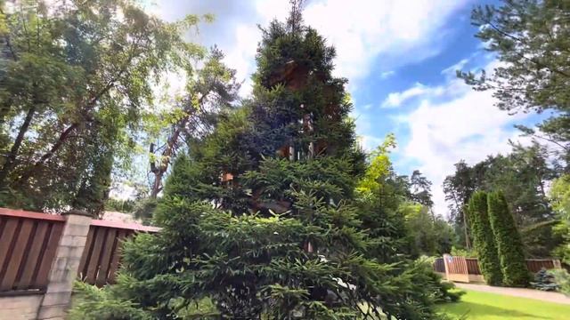 Новый коттедж, участок 25 соток, купить, Ярославское шоссе, Пушкино, Ивантеевка смотреть онлайн