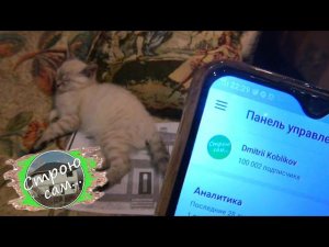"Строю сам..." Новая эра.