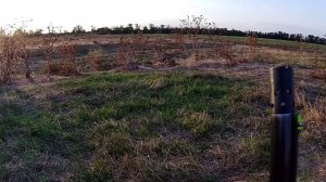 ОТКРЫЛИСЬ ПО КУРОПАТКЕ - ДА ЕЩЁ КАК...)