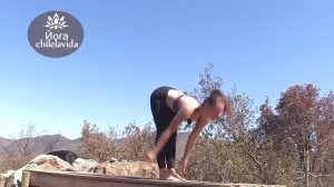 УТРЕННЯЯ ЙОГА Для Всех _ Приветствие солнцу и Занятия Йогой _  Женские Практики _ Йога chilelavida