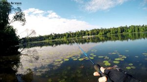 Street fishing. Раздача в Строгино. Исследуем Москва реку в городе.