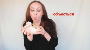 Что делать, если тебя бросил парень..