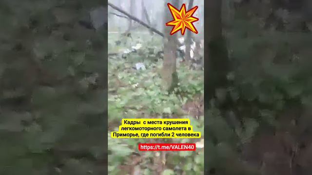 📢🔥⚡️⚡️⚡️Кадры с места крушения легкомоторного самолета в Приморье, где погибли 2 человека