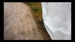 Утепление инжира на зиму