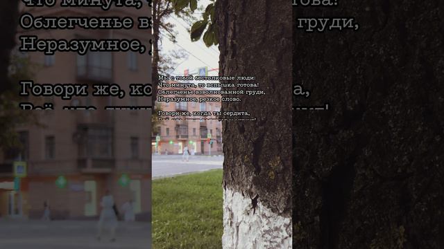 «Мы с тобой бестолковые люди»… — Н.А. Некрасов 

#shorts #тренды #стихи #литература