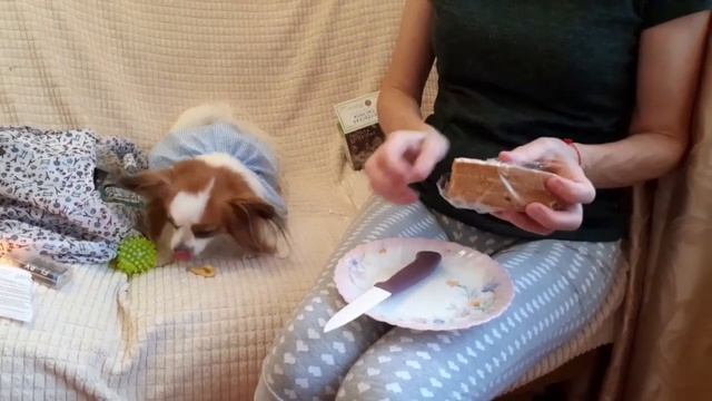 НОВИНКИ ФИКС ПРАЙС И ПОКУПКИ Fix Price ОКТЯБРЬ 2020 смотреть онлайн