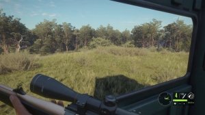 theHunter: Call of the Wild, Yadovitaya79 вместо рыбалки 8+++