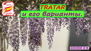 133. TRATAR и его варианты.