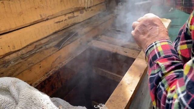 Как сделать так, чтобы пчелы сами прилетели в улей? Рассказываю смотреть онлайн