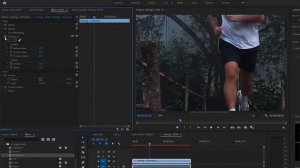 Red Giant Magic Bullet Suite - Change looks of your Videos #ColourCorrection #Plugins #redGiant