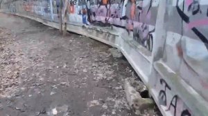 Коробковский сад. Что за ним?
