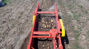 копаем картофель копалкой