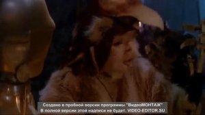 Звёздные воины прикол с мишками ЭВОКами