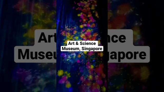 Art & Science Museum, Singapore ? #artandscience #museum #singapore #youtubeshorts