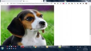Как вставить картинку в html