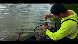 Ловля карпа на платнике