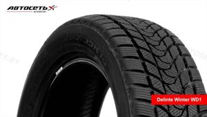 Обзор зимней шины Delinte Winter WD1 ● Автосеть ●