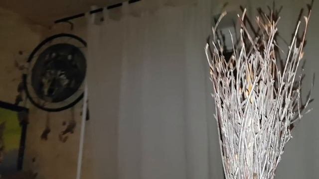 ВЕДЬМИНА МЕТЛА..ДЛЯ ВЕДЬМ..