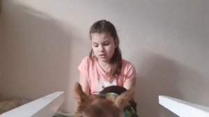 как одеть зимой собаку?? и во что ? показываю по моему мнению очень хороший магазин!и одеваю собаку