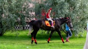 Развитие ребёнка: логоритмика Т. Железновой. Лошадка