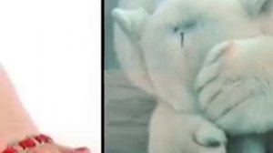 Доченька - Власова Наталия и Пелагея