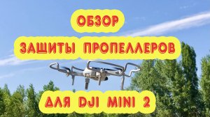 Обзор защиты пропеллеров дрона DJI Mavic Mini / Mini 2 (SunnyLife) полёт в защите.