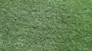 Как расколоть кокос / How To Crack Open a Coconut