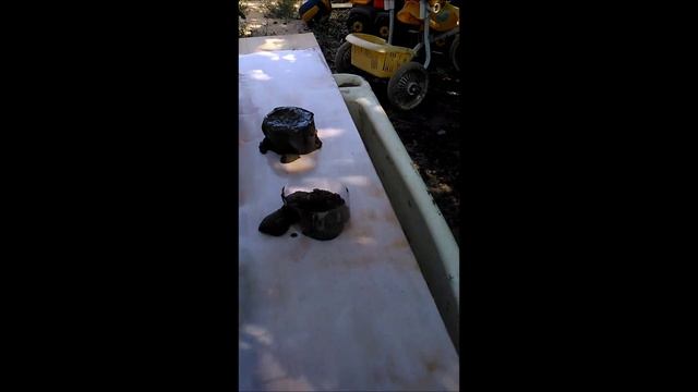 Опалубка не требующая смазки