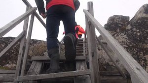 Северный Ледовитый океан. Экспедиция лето 2019