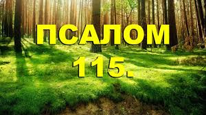 Псалом 115, Псалом Давиду