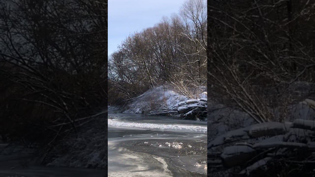 Река ЗАМЕРЗАЕТ ❄️ смотреть онлайн