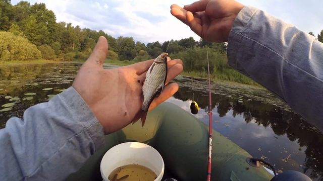 Рыбалка на Березине -- Рыбалка в БЕЛАРУСИ 2021! смотреть онлайн