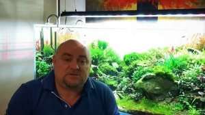 Акваскейпинг - закулисье. Или как делают конкурсные аквариумы.