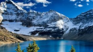 Получив в наследство особняк,она не представляла,что скрывают его стены.Женщина потеряла дар речи