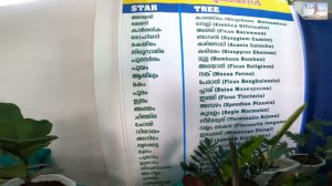 Jade Garden | Travel Frames| Plant a Plant With Passion