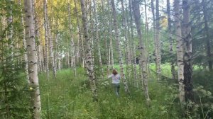 Песня-молитва Лебединая верность Диана Шнурова