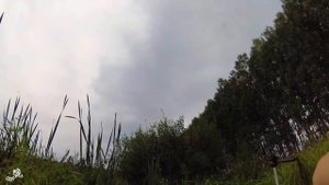 Ловля КАРАСЯ в сентябре на САМУЮ ЛУЧШУЮ НАСАДКУ.