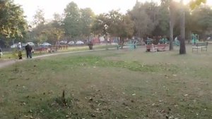 Morning walk in Chandigarh, India/Утренняя прогулка в Чандигаре, Индия